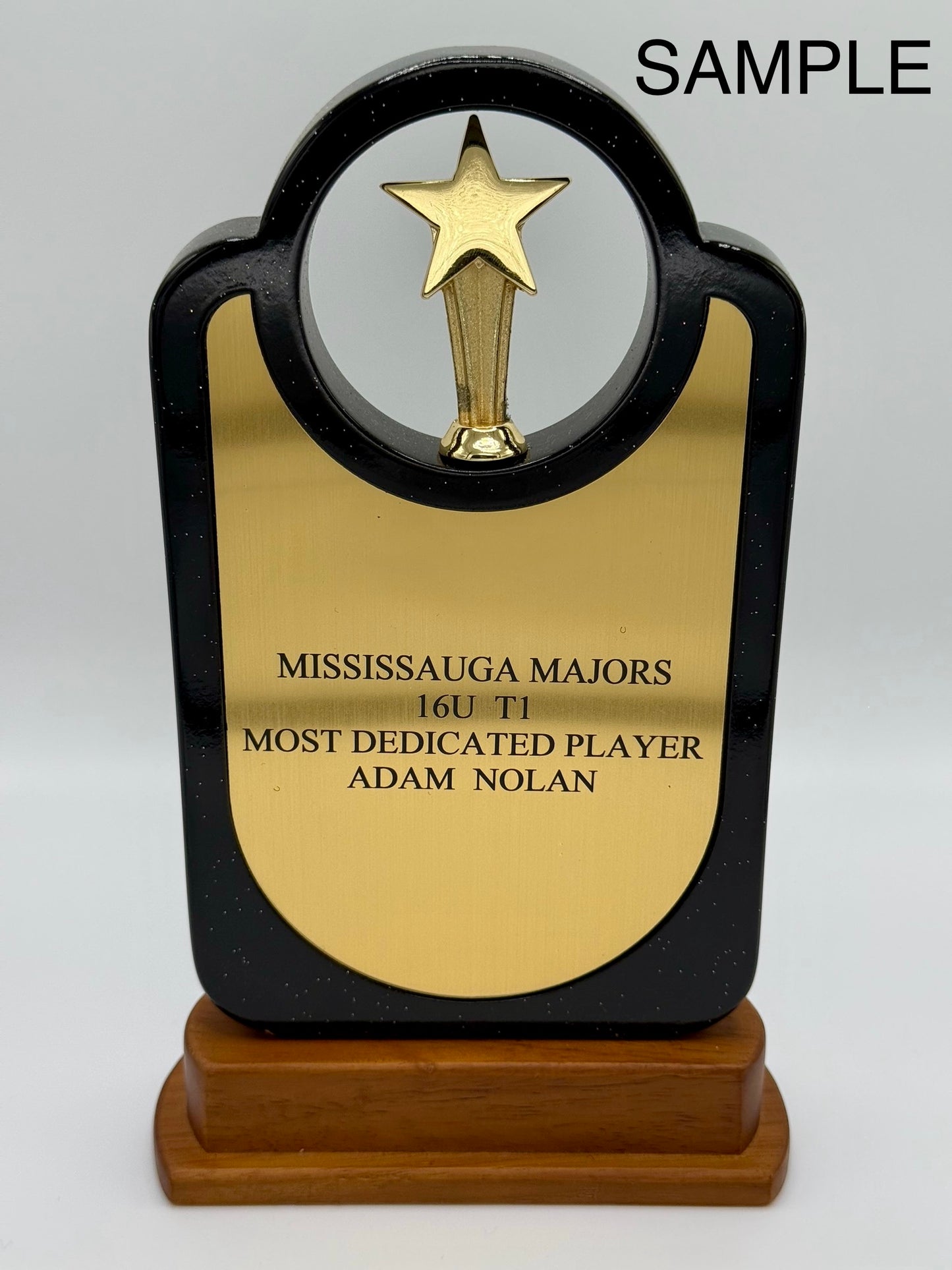 Custom Star Circle Trophy – Personalized Black & Gold Award with Wooden Base