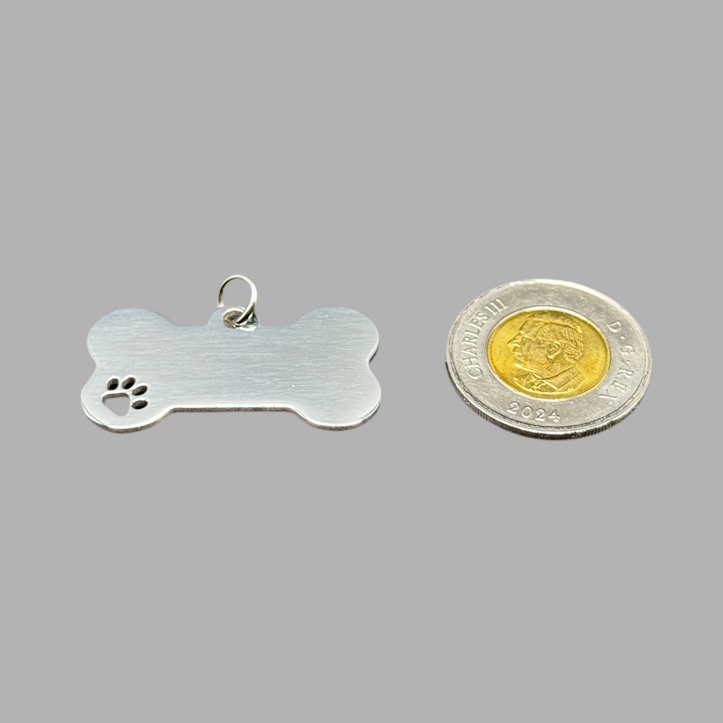 Personalized Dog ID Tag – Custom Engraved Bone Pet Tag with Paw Print (Canada)