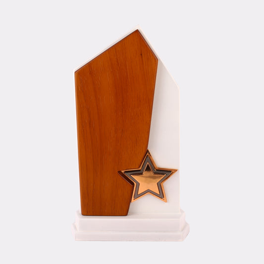 Personalized Star Trophy – Custom Wooden & White Award with Engraving Option