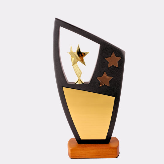 Custom Star Trophy with Gold Plate – Personalized Black & Gold Award for Excellence