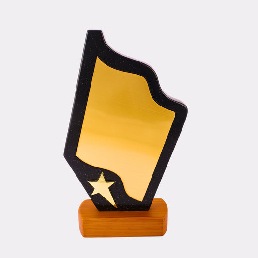 Custom Black & Gold Star Trophy – Personalized Shield Award with Wooden Base