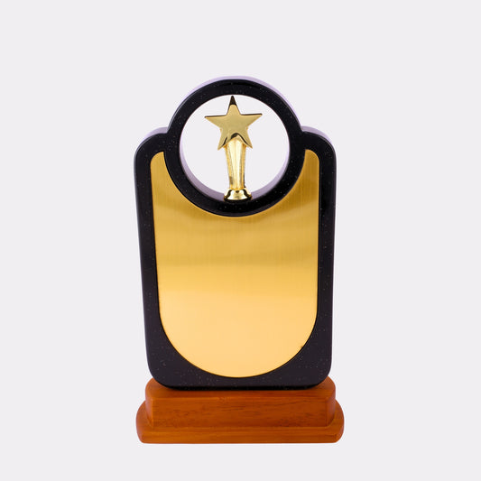 Custom Star Circle Trophy – Personalized Black & Gold Award with Wooden Base
