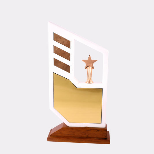 Modern Star Trophy – Custom White & Gold Engraved Award with Wooden Base