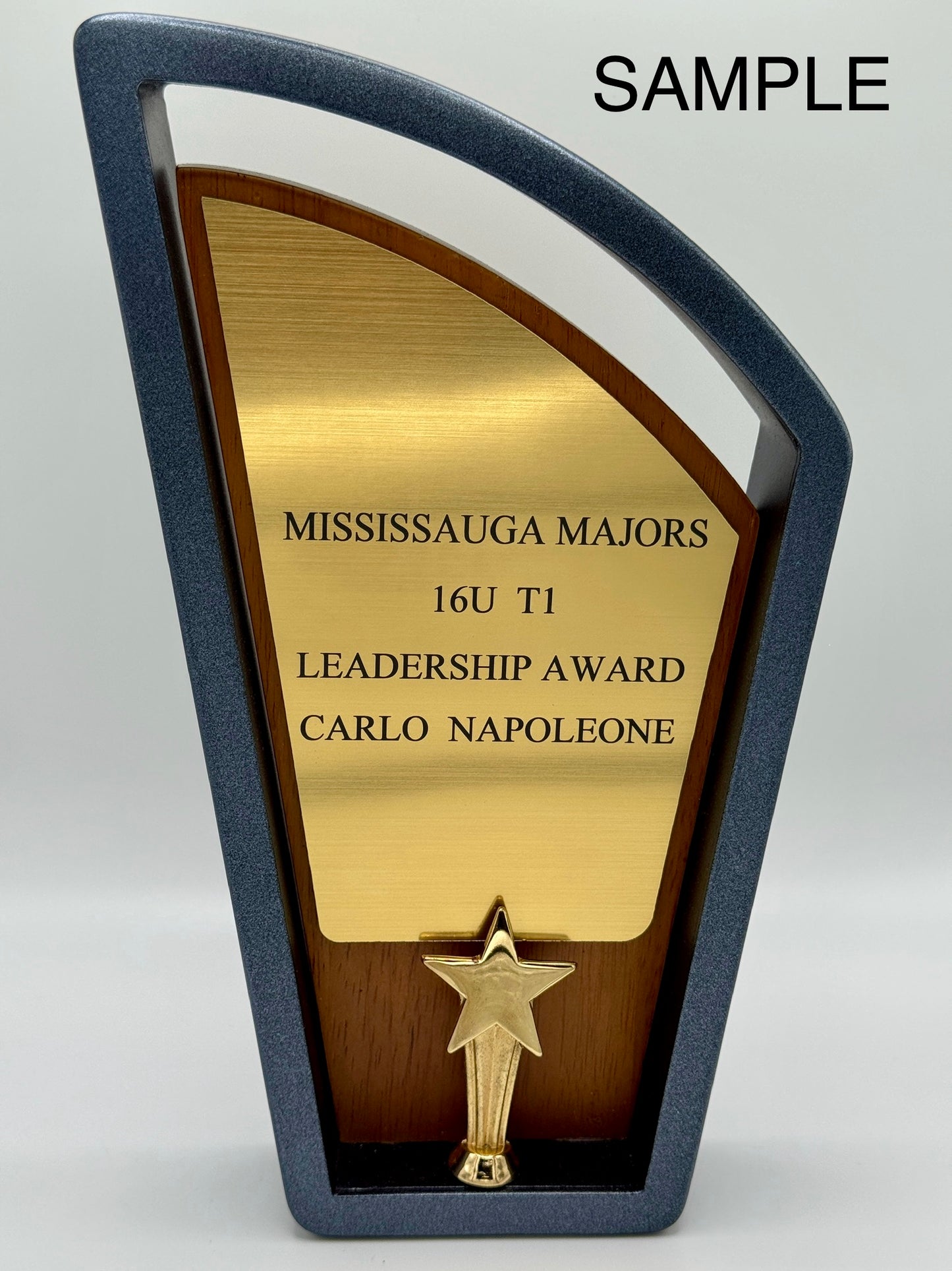 Gold Star Achievement Trophy – Custom Engraved Award for Employee Recognition, Corporate Gifts & Excellence